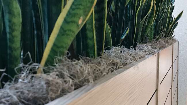 Intermix Planter Boxes